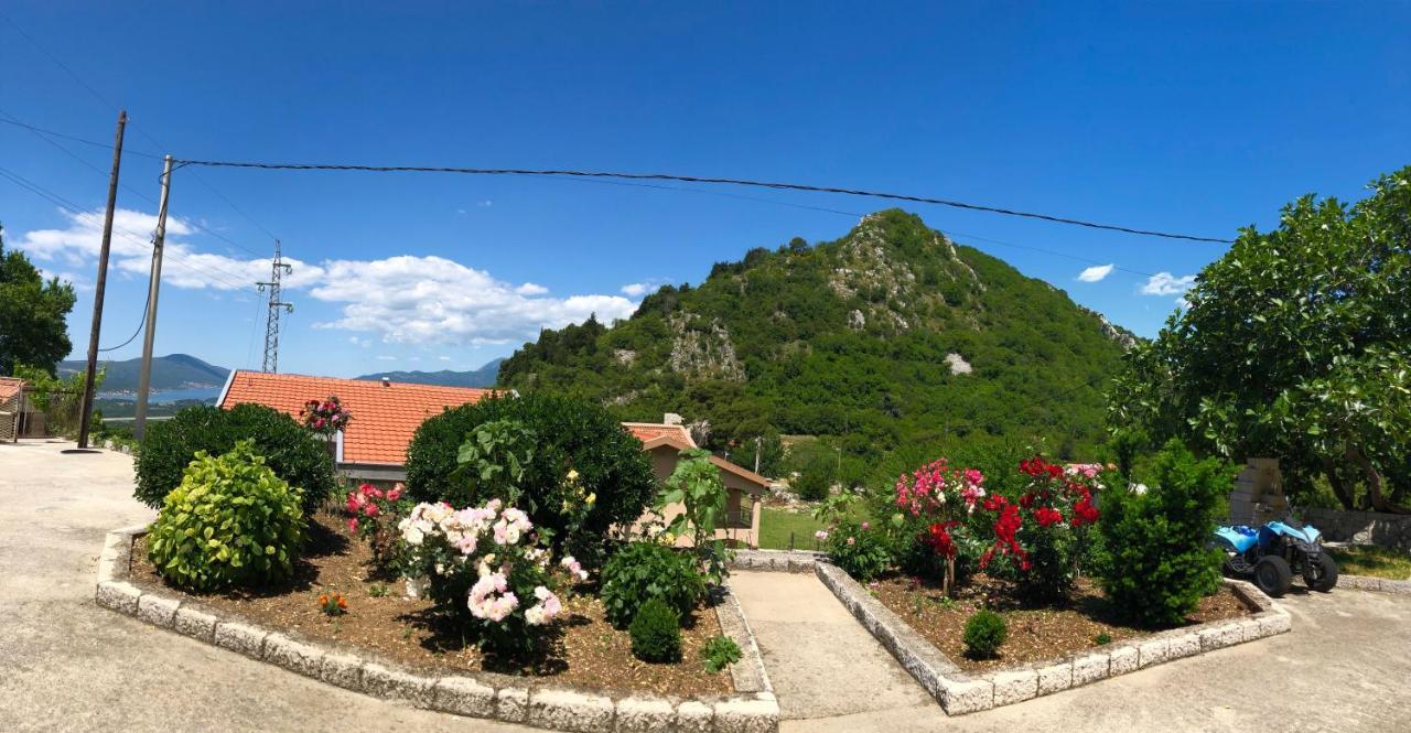Albomi Appartement Kotor Buitenkant foto